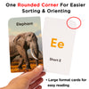 Alphabet Flash Cards (ABCs) Preschool - All Upper & Lower Case Letters & All Phonetic Sounds