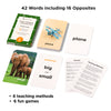 First Words Flash Cards with Opposites for Toddlers, Ages 1-4, Preschool