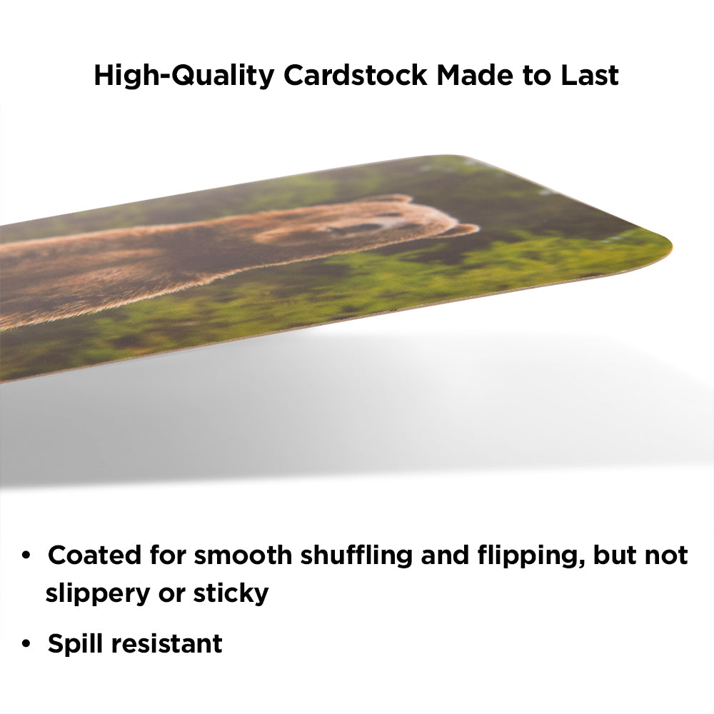 Rhyming Words Flash Cards, Ages 4+, Prek - Kindergarten